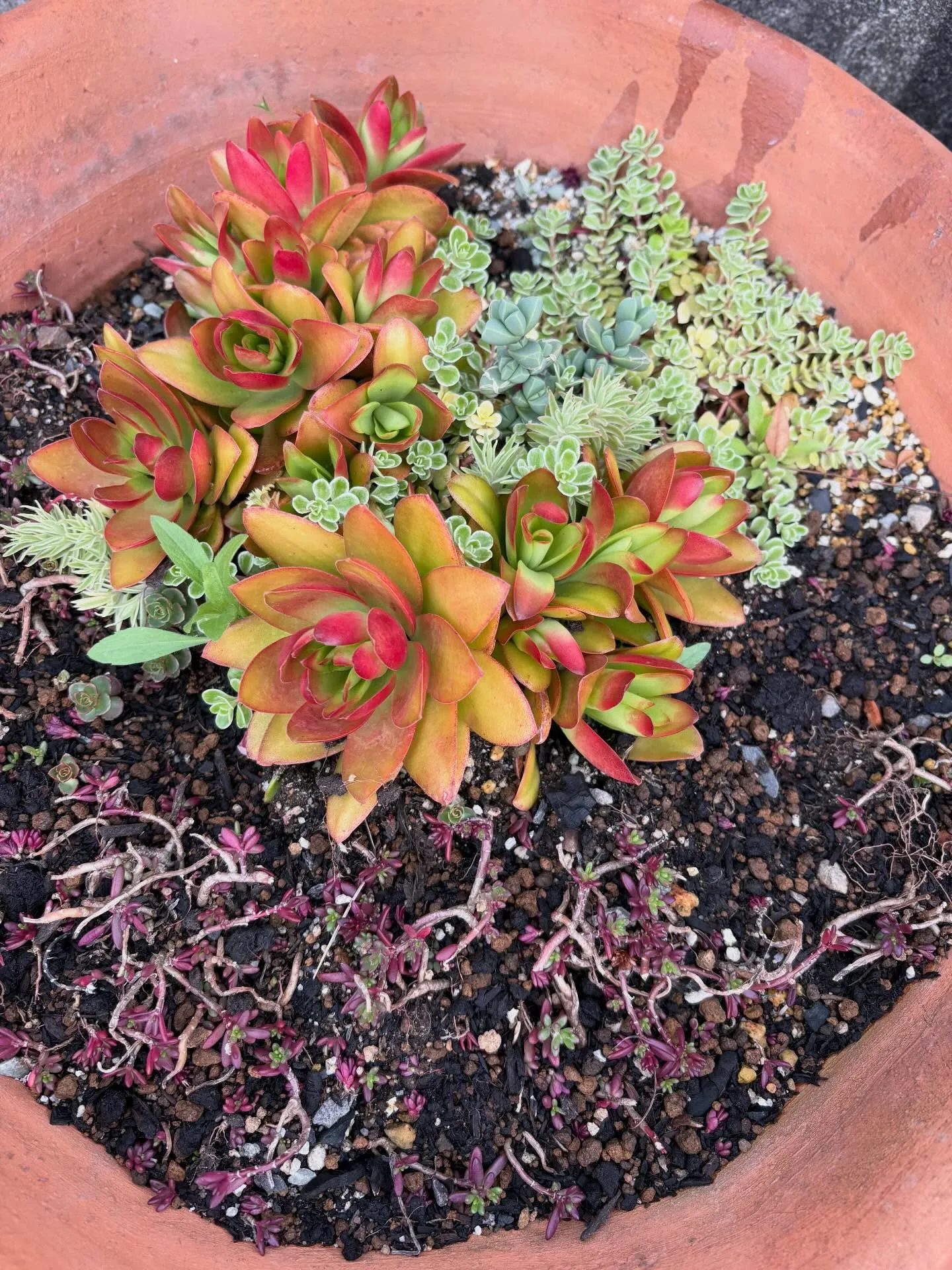 今日は暖かい一日ですね☀️