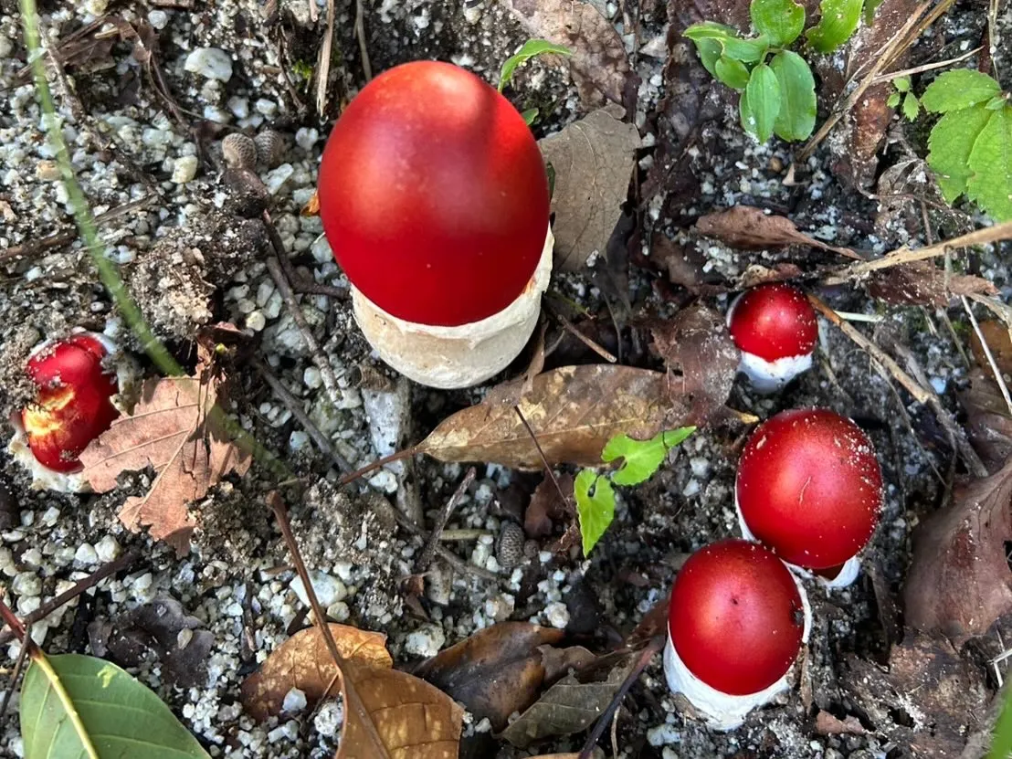 秋の気配を感じていますね🍂