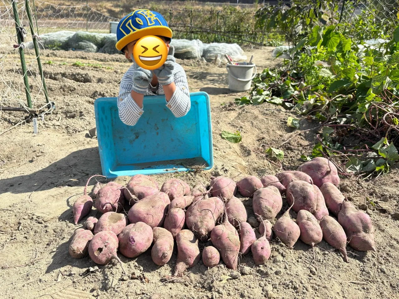 おはようございます😊